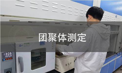 團聚體測定 團聚體測定