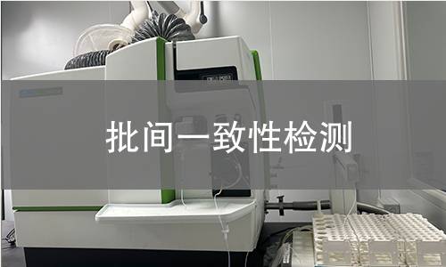 批間一致性檢測