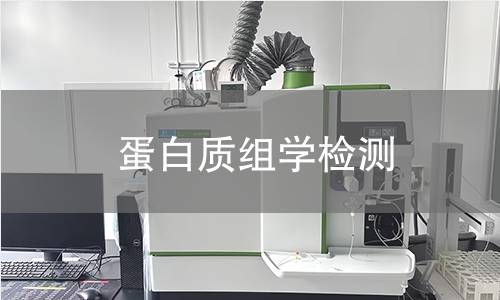 蛋白質組學檢測