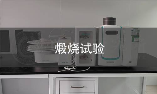 煅燒試驗 煅燒試驗