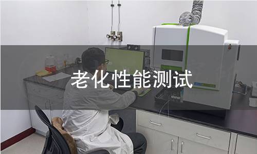 老化性能測試
