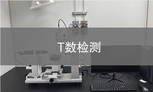 T數檢測