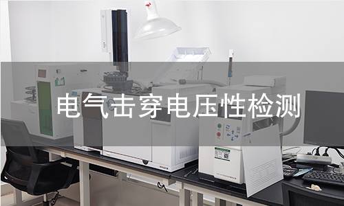 電氣擊穿電壓性檢測 電氣擊穿電壓性檢測