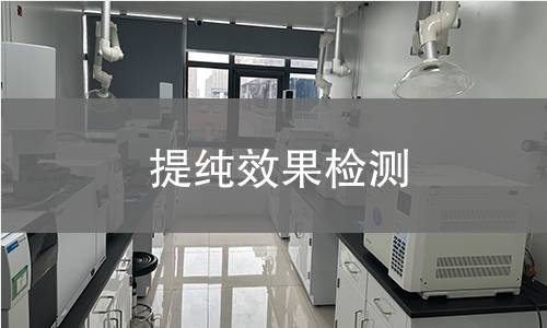 提純效果檢測 提純效果檢測