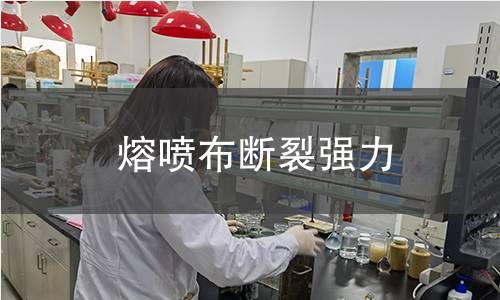 熔噴布斷裂強力 熔噴布斷裂強力