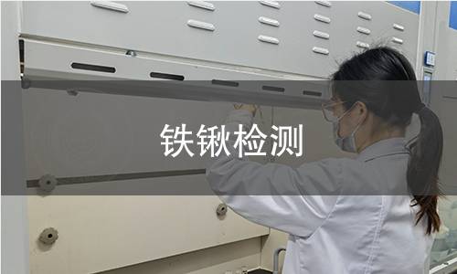 鐵鍬檢測 鐵鍬檢測