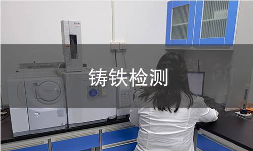 鑄鐵檢測