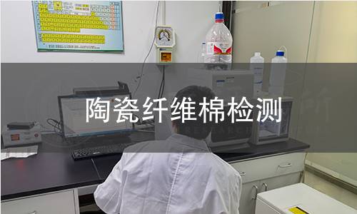 陶瓷纖維棉檢測 陶瓷纖維棉檢測