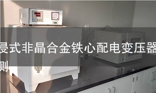 油浸式非晶合金鐵心配電變壓器檢測