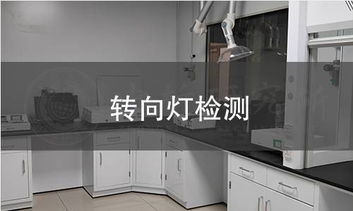 轉向燈檢測 轉向燈檢測