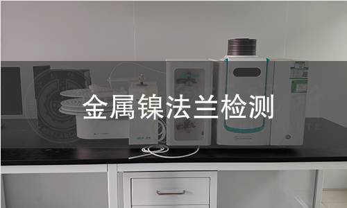金屬鎳法蘭檢測 金屬鎳法蘭檢測