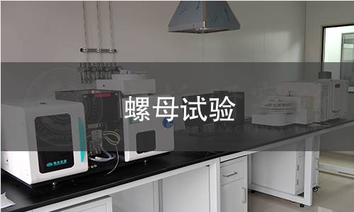 螺母試驗 螺母試驗