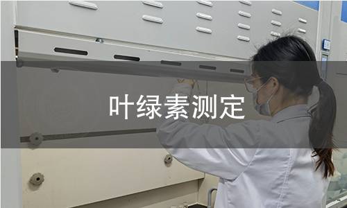 葉綠素測(cè)定 葉綠素測(cè)定