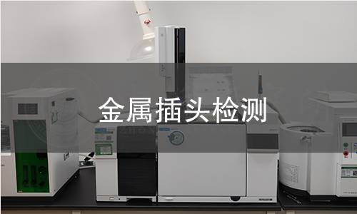 金屬插頭檢測(cè)