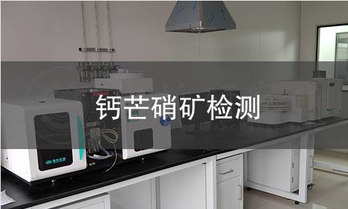 鈣芒硝礦檢測