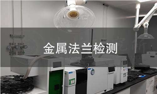 金屬法蘭檢測 金屬法蘭檢測