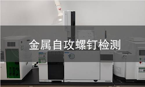 金屬自攻螺釘檢測 金屬自攻螺釘檢測