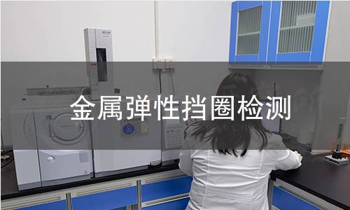 金屬彈性擋圈檢測 金屬彈性擋圈檢測