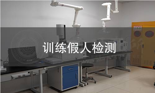 訓練假人檢測 訓練假人檢測