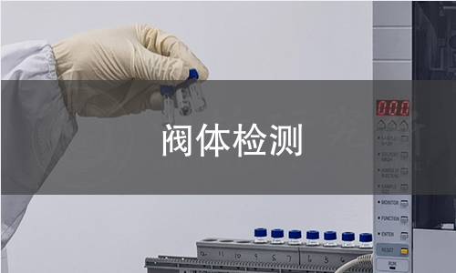 閥體檢測 閥體檢測