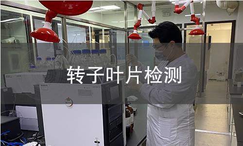 轉(zhuǎn)子葉片檢測 轉(zhuǎn)子葉片檢測