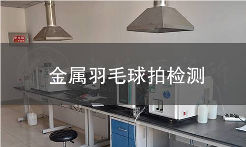 金屬羽毛球拍檢測