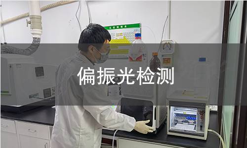 偏振光檢測 偏振光檢測