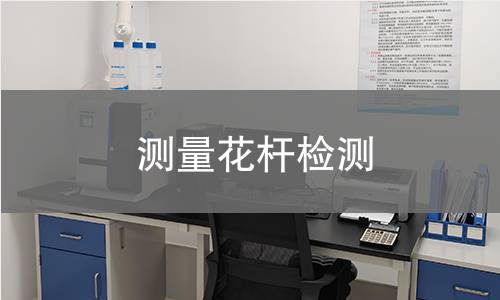 測(cè)量花桿檢測(cè) 測(cè)量花桿檢測(cè)