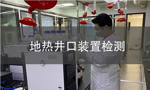 地熱井口裝置檢測 地熱井口裝置檢測