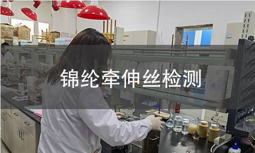 錦綸牽伸絲檢測(cè)
