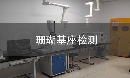 珊瑚基座檢測 珊瑚基座檢測