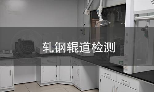 軋鋼輥道檢測(cè) 軋鋼輥道檢測(cè)