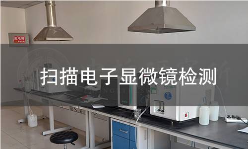 掃描電子顯微鏡檢測