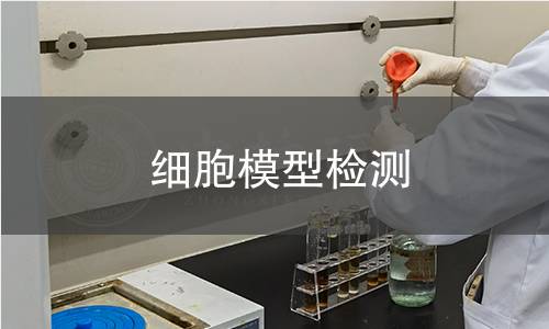 細胞模型檢測 細胞模型檢測