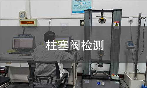 柱塞閥檢測 柱塞閥檢測