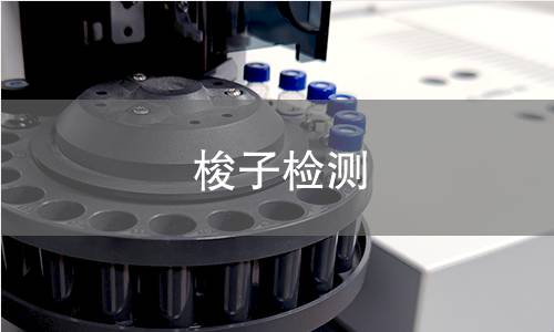 梭子檢測 梭子檢測