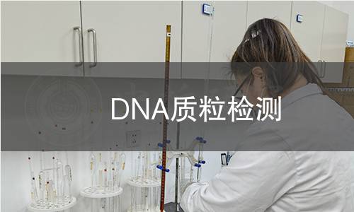 DNA質(zhì)粒檢測 DNA質(zhì)粒檢測