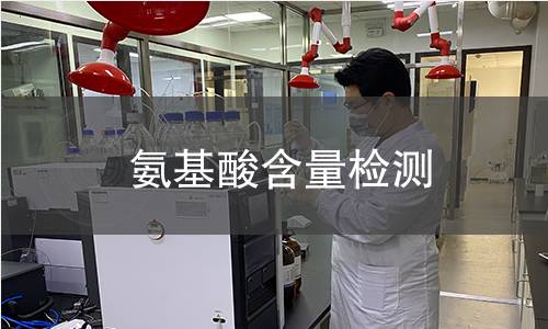 氨基酸含量檢測 氨基酸含量檢測