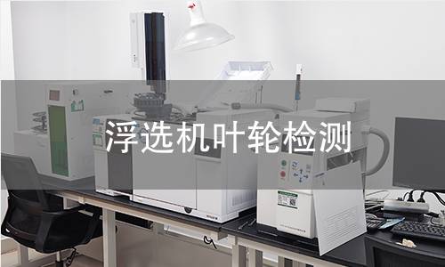 浮選機葉輪檢測 浮選機葉輪檢測