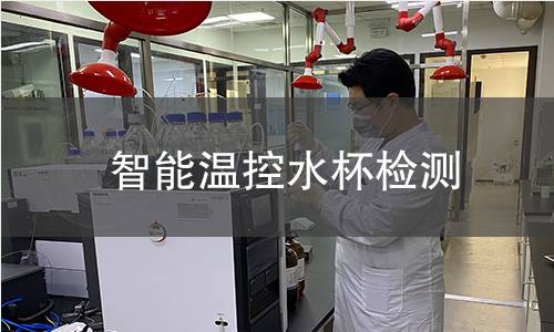 智能溫控水杯檢測