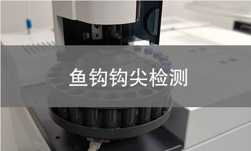 魚鉤鉤尖檢測 魚鉤鉤尖檢測