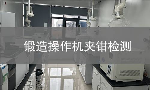 鍛造操作機夾鉗檢測 鍛造操作機夾鉗檢測