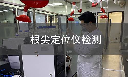 根尖定位儀檢測 根尖定位儀檢測