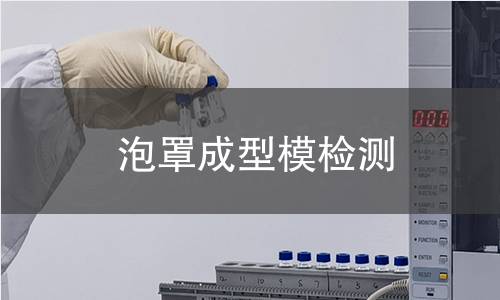 泡罩成型模檢測 泡罩成型模檢測