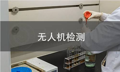 無人機(jī)檢測 無人機(jī)檢測