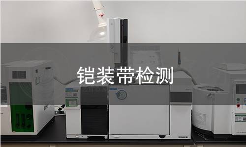 鎧裝帶檢測 鎧裝帶檢測