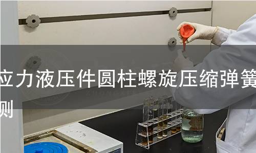 高應力液壓件圓柱螺旋壓縮彈簧檢測 高應力液壓件圓柱螺旋壓縮彈簧檢測