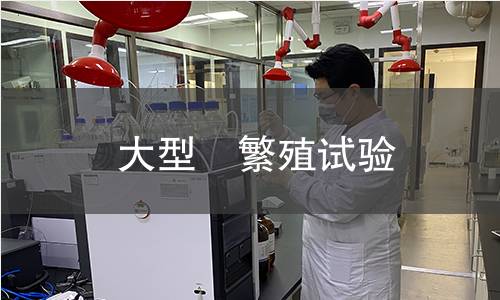 大型溞繁殖試驗