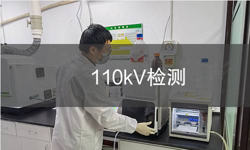 110kV檢測 110kV檢測