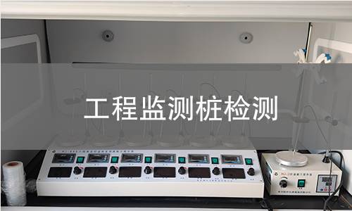 工程監(jiān)測樁檢測 工程監(jiān)測樁檢測